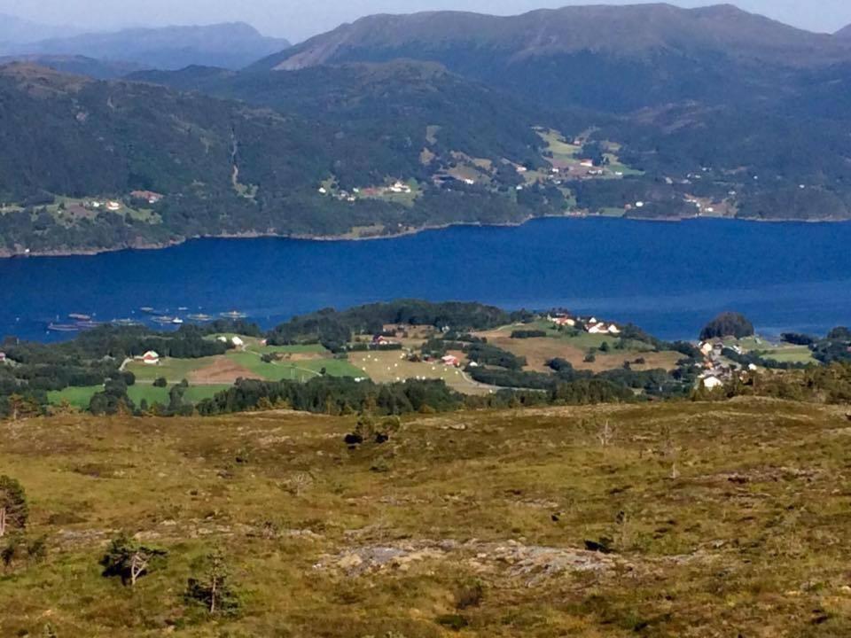Campsite Leite Telt Lyngstad