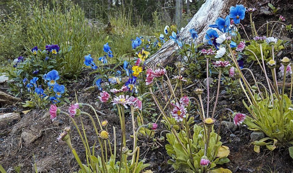 Camping Leite Telt Lyngstad